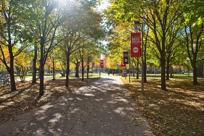 Campus of The University of Illinois at Chicago
