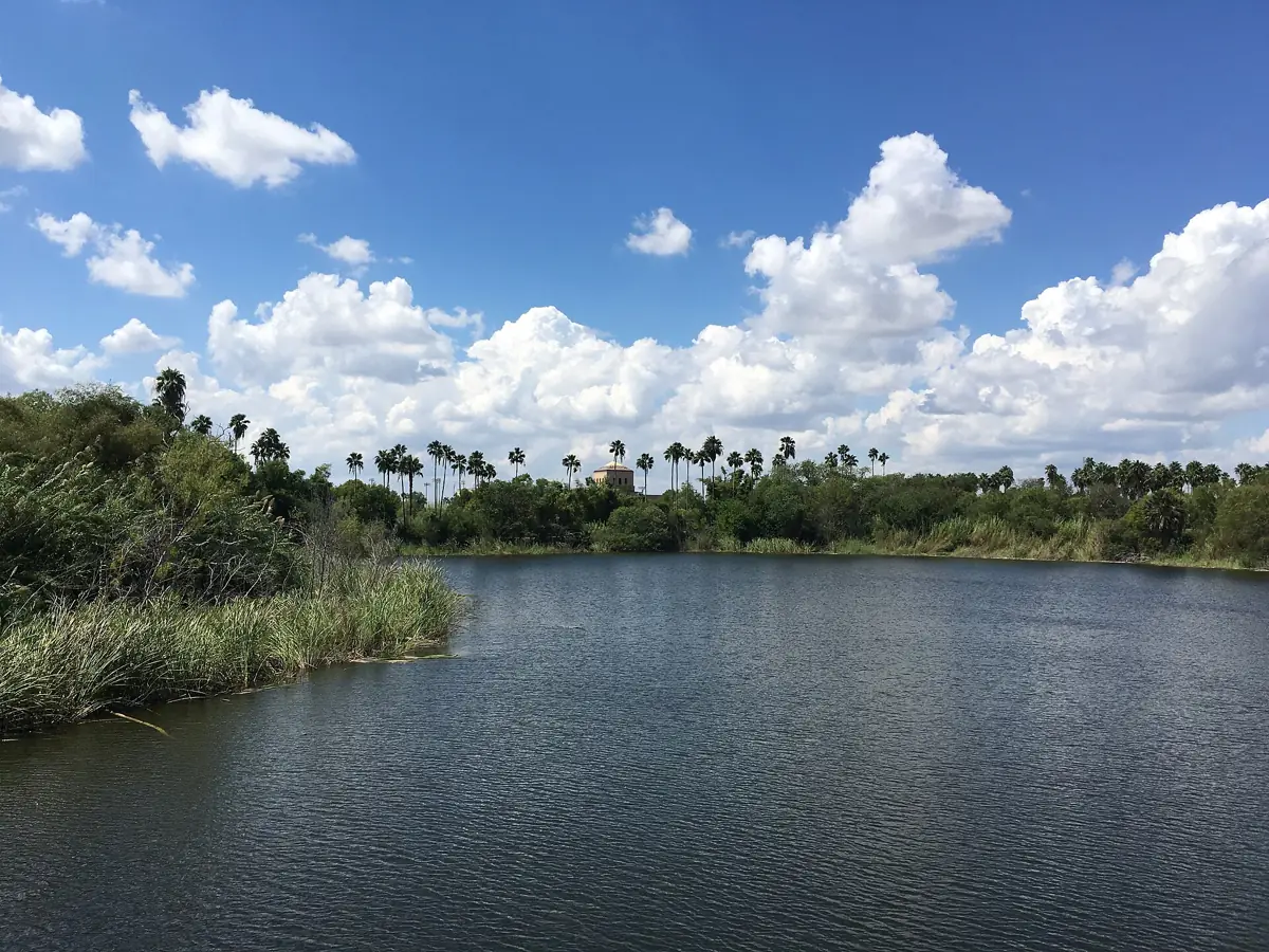 Campus of The University of Texas Rio Grande Valley