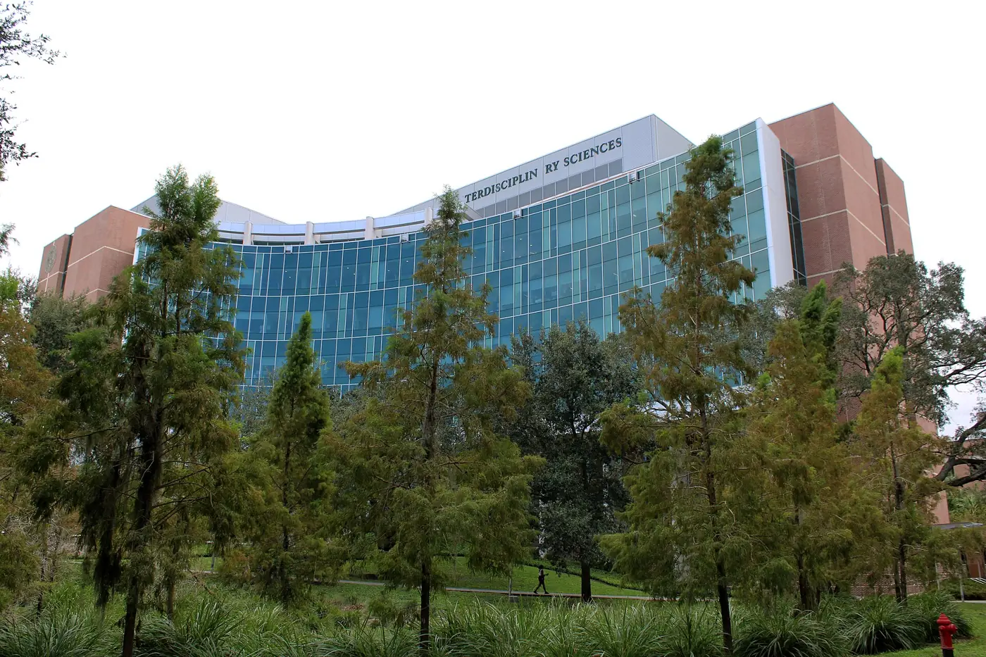 Campus of University of South Florida